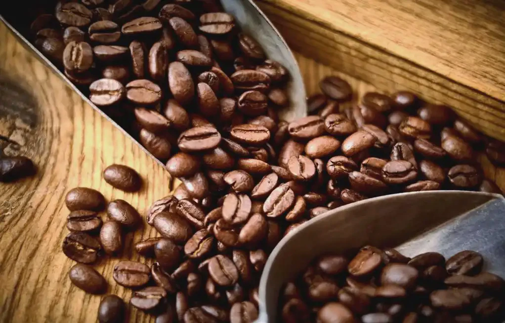 How Our Optical Color Sorter Revolutionized Specialty Coffee Bean Processing