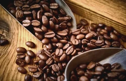 How Our Optical Color Sorter Revolutionized Specialty Coffee Bean Processing