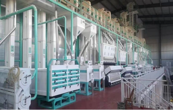 Rice milling and color sorting machinery close-up