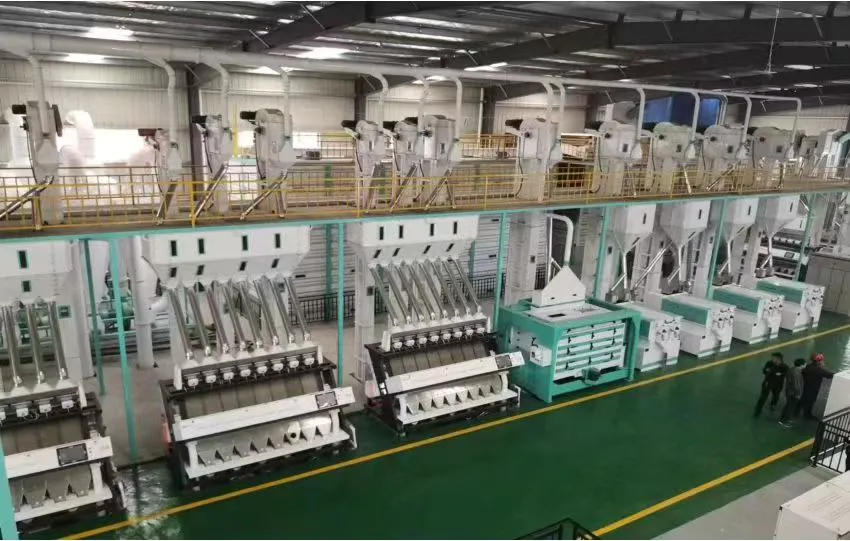 160-Ton Paddy Processing Line | Turnkey Rice Color Sorting Plant