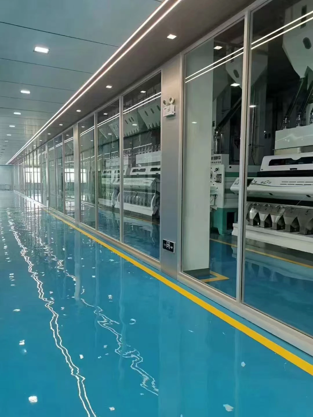 Modern rice processing facility interior with color sorters