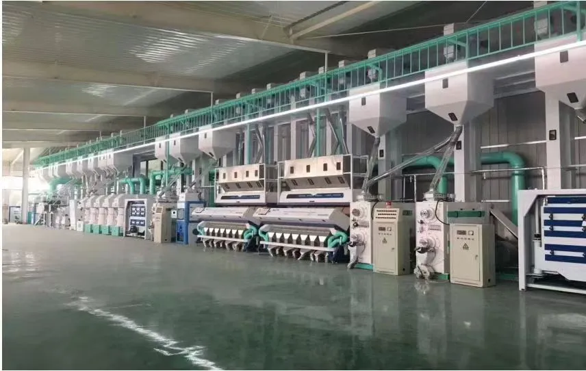 Rice processing plant installation site