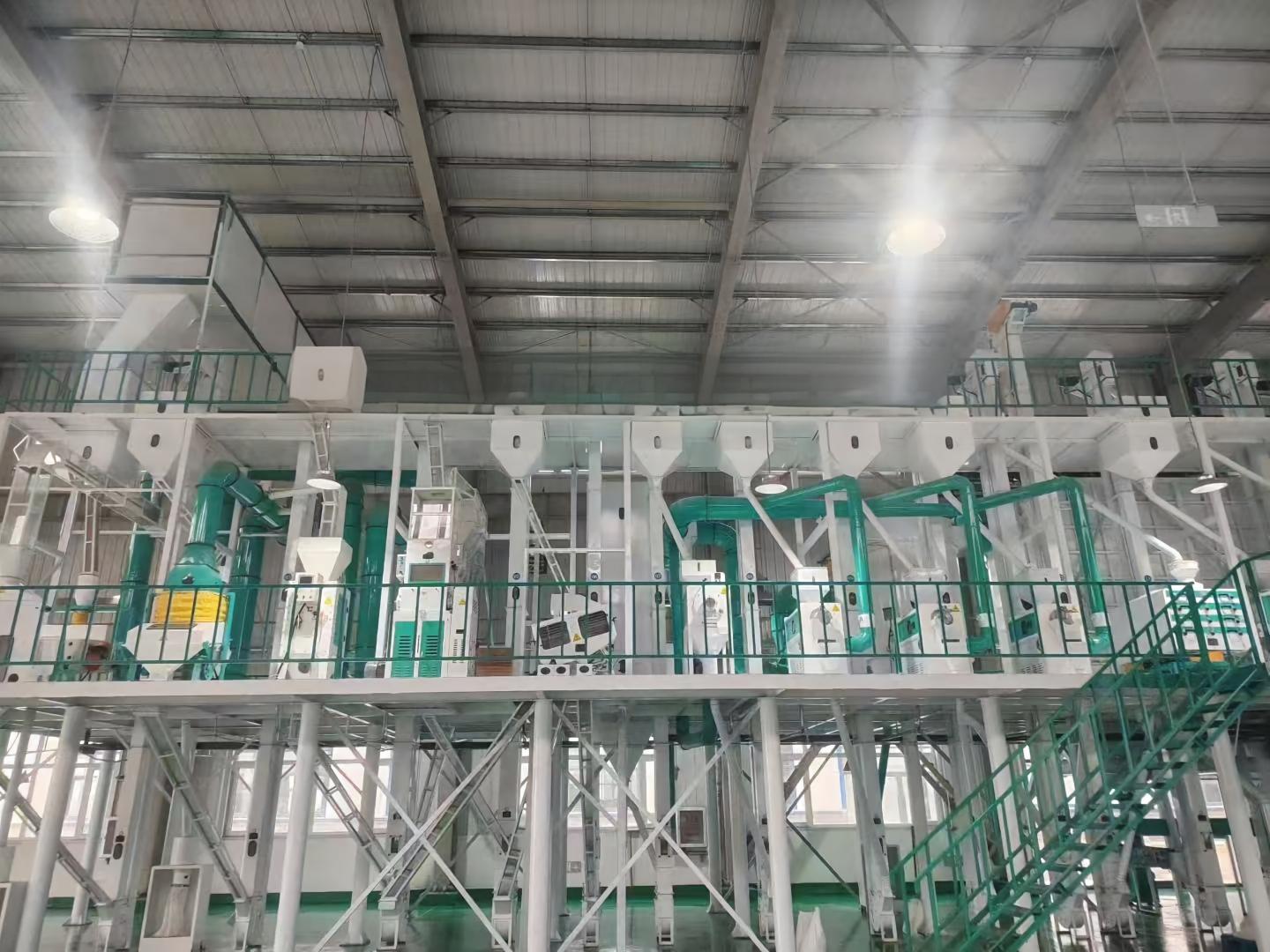 Process 200 tons of paddy rice per day