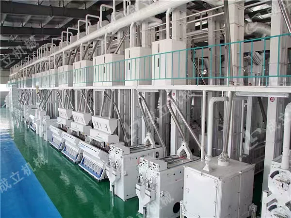 Rice color sorting and grading line